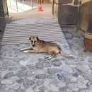 코스코약국 | 역사와 자연의 어울어짐이 초절정인 페루 쿠스코(Cusco). 성스러운 계곡. 모라이, 마라스 염전...