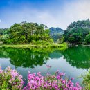 삼한레저관광 이미지