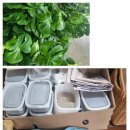 진해시니어클럽 이미지