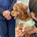 보현동물병원 이미지