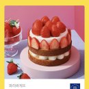 베리 Daum카페