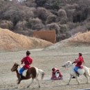 제주조우아 월림 | 가족여행 추천 제주 더마파크 공연시간 승마 카트체험도 가능