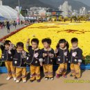 마산가고파 국화축제장 이미지
