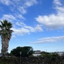 아끈두베 이미지