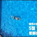 중부대로2565번길2 이미지