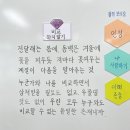 갤러리배동 | 꽃가루를 날려 폭죽을 더 크게 터트려〰️