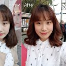 시우뷰티랩 네이버블로그