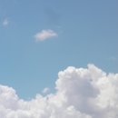 오목골 목장 이미지