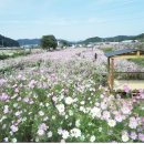 (주)장천 티스토리