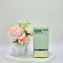 모리쉬(moreish)