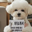 이루다호텔 앞 이미지