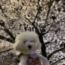 하운드민박 이미지