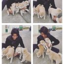 내사랑 강아지 이미지