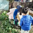 아이들세상어린이집 이미지