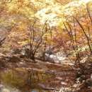 숙 머리사랑