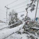 솔안경로당 이미지