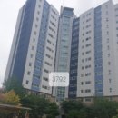 정관5로 이미지