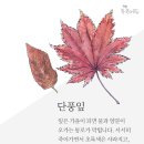 자연톡톡 이미지