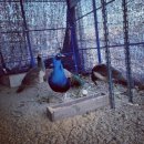 대구요양원 이미지