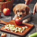 신도림동물병원 이미지