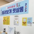 들려보개 펫살롱 네이버블로그