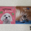 멍멍개야 | [샘플북 후기] 우리 자연이랑 | 자연관찰 전집 어떻게 고를까