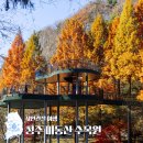 명서다리 앞 버스정류소 | 청주 근교 데이트 코스 미동산수목원 가을 단풍구경