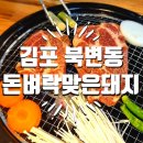 돈벼락맞은돼지