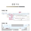 네코뷰티 | 후쿠오카 공항✈️ 면세점 쇼핑 후기, 마네키네코와 일본 기념품 구경