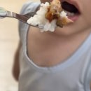 고기몽땅 바베큐폭립 후기 5살 아이 입맛 저격, 집에서 간단한요리 꿀템