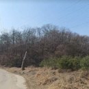 자연114공인중개사사무소 이미지