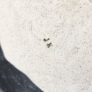 취미공방