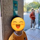 기린어린이공원 | 아이랑 함께 광저우 동물원 방문 후기(feat. 판다 직관, 기린 먹이주기)