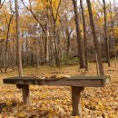 블루벤치 이미지