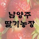 샘물딸기농장