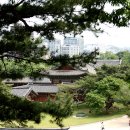 궁내세탁소 Daum카페