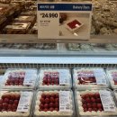 트라이플 | 코스트코 겨울 한정 딸기 디저트, 딸기 트라이플 내돈내산 솔직후기