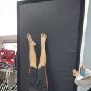 한국체대 석사 태권도장 이미지