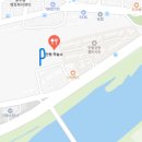 안동하늘소