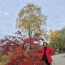 앞산공원 이미지