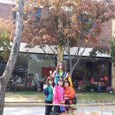 덕천3동-3 이미지