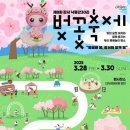 강서 낙동강30리 벚꽃축제(2025년) 티스토리
