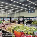 진전면994 이미지