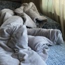 별하나약국 이미지