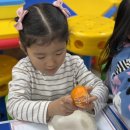 귤꽃푸드 Daum카페