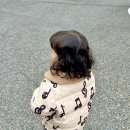 부산 아기 미용실 키즈미용실 그나미장원 키즈펌 후기