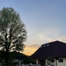 브런치앤숲 이미지