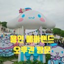 용인 에버랜드 오후권 아이와 방문 산리오 포토존 기간