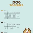 도그모루 애견유치원 | 청주 애견호텔 넓은 잔디 마당이 있는 애견유치원 도그투게더 내돈내산 후기
