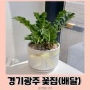 플레르쉐무아 | 경기광주꽃집 플레르쉐무아에서 꽃배달 서비스 신청하기